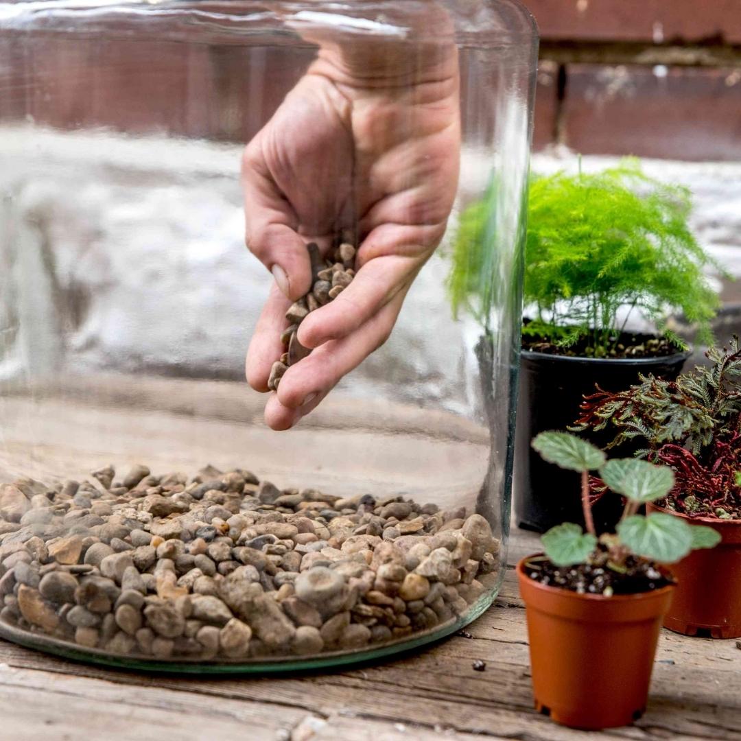 planteterrarie workshop hvor man laver sine egne terrarier. En hånd er ved at lægge sten i glasset.