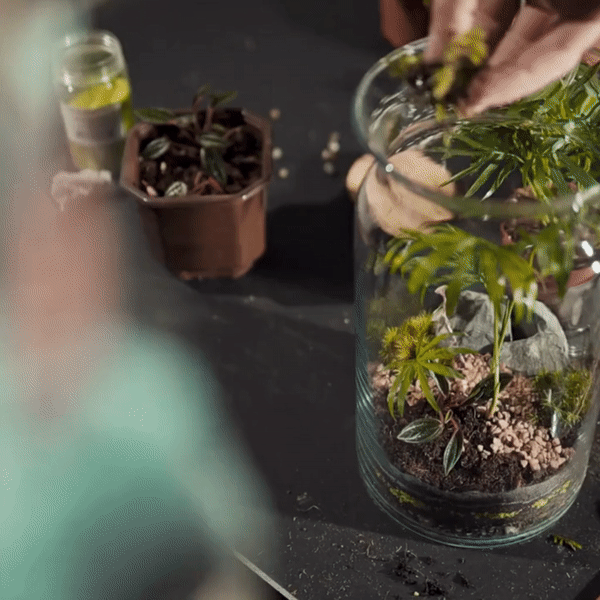 en kvinde er ved at lave et planteterrarie til en kreativ workshop som en del af en teambuildingøvelse.