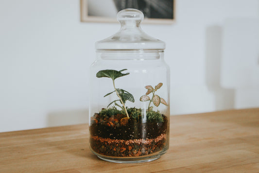 planteterrarium workshop, teambuilding skaber arbejdsglæde