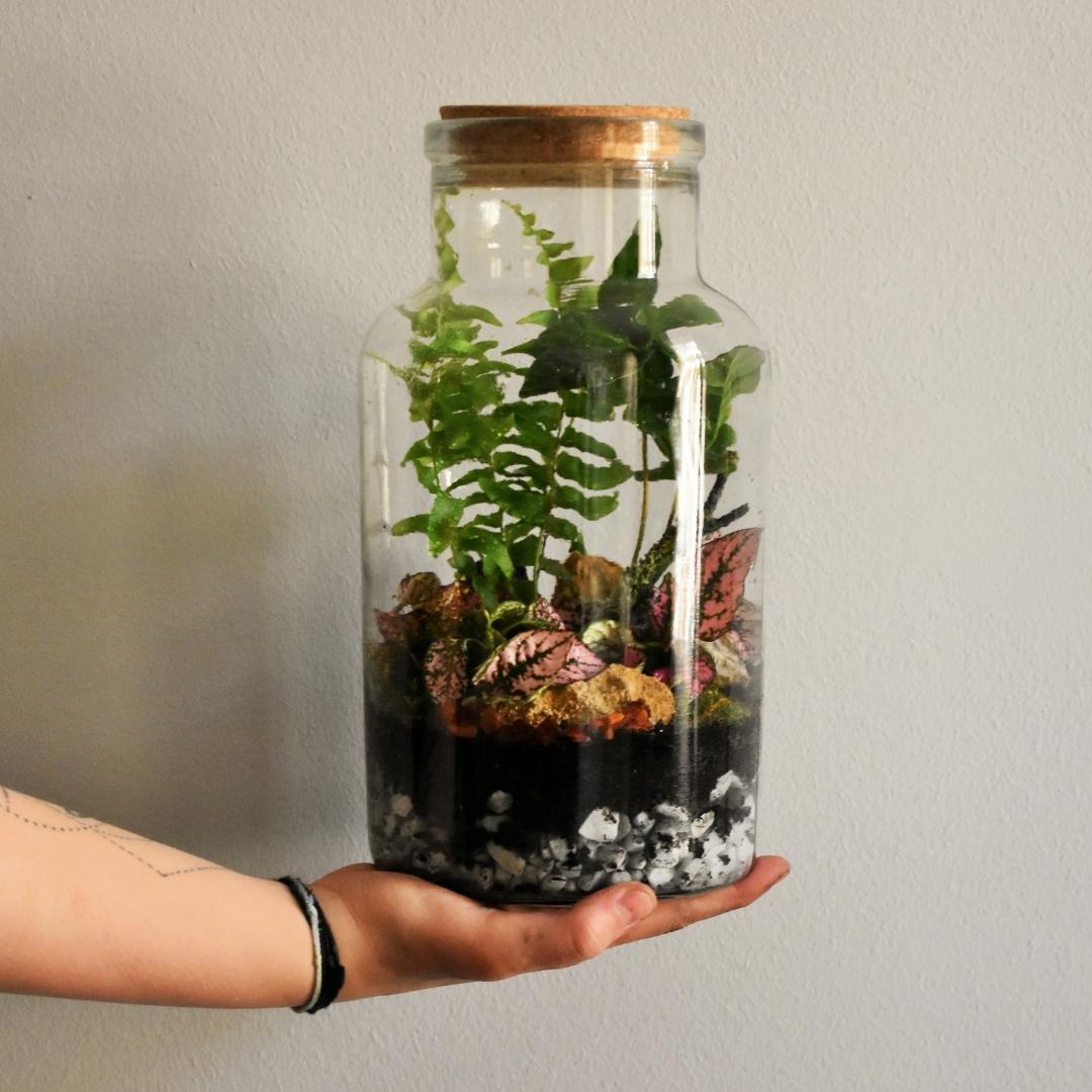 Kursus hvor man lærer at lave planteterrarier. Det er lavet på et kreativt kursus som en del af et teambuildingarrangement. 